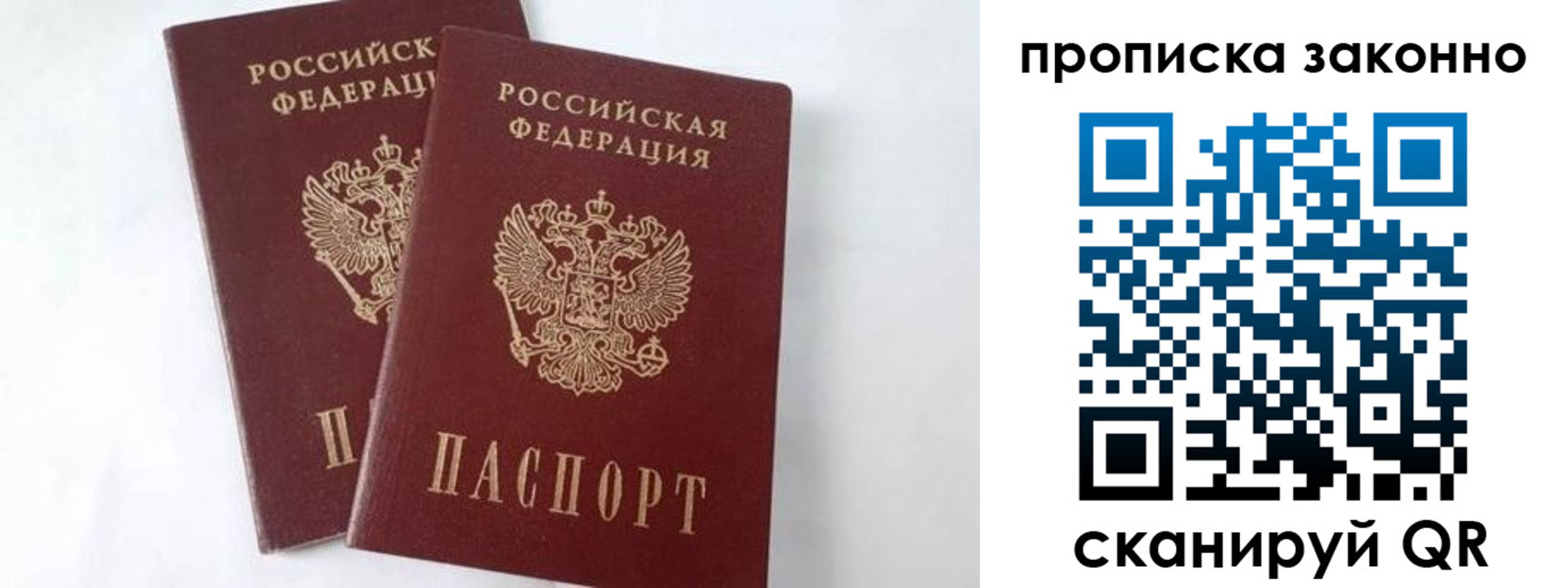 прописка в Камешково